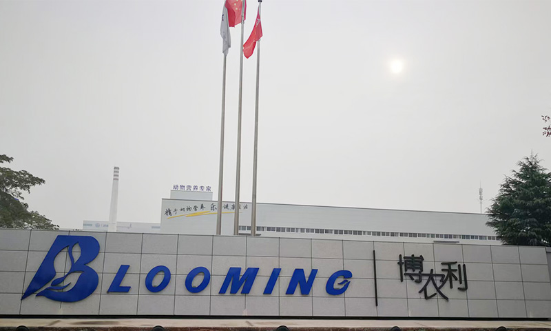 安陽博農(nóng)利廠房